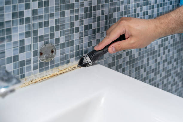 Best Mold Remediation for Schools in Brinkley, AR